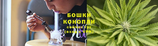 2c-b Осинники