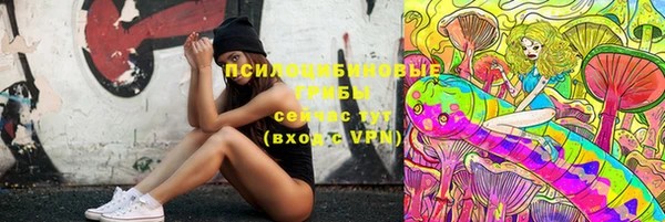 дживик Остров