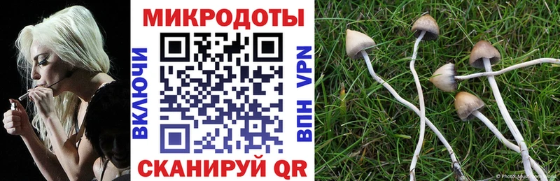 МЕГА рабочий сайт  Ясногорск  Галлюциногенные грибы Cubensis  продажа наркотиков 